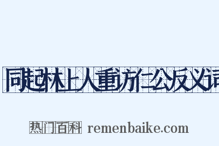 同起林上人重访仁公反义词是什么意思的图片